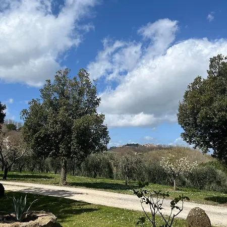 Il Gonzeto, * Montepulciano Stazione